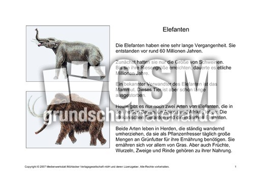 Fehlerlesen-Elefanten-Lesetext-1-6.pdf